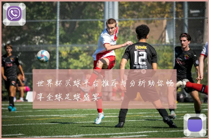 世界杯买球平台推荐与分析助你畅享全球足球盛宴