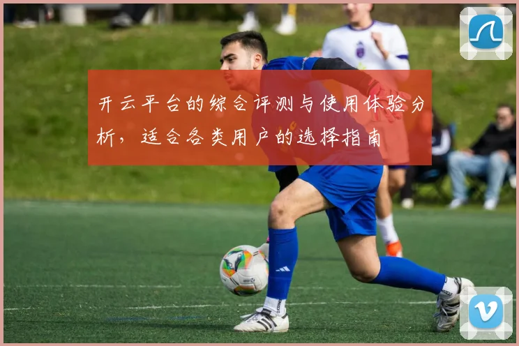 开云平台的综合评测与使用体验分析，适合各类用户的选择指南