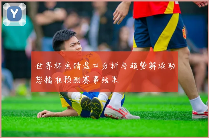 世界杯竞猜盘口分析与趋势解读助您精准预测赛事结果
